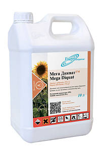 Әйелдерді таяқпен ұру Шашты жалаңаш қалыңдықтың фотосы