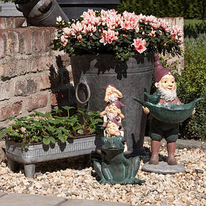 Товары для двора