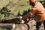 Бензопила Husqvarna 61, фото 3
