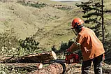 Бензопила Husqvarna 61, фото 5
