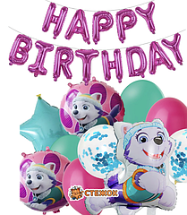 Набір куль Щенячий патруль Еверест