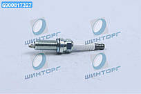 Свичка запалювання (вир-во NGK) ILKAR7B11 UA60