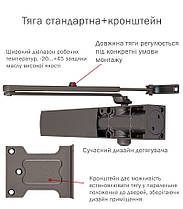 Дотягувач дверей RYOBI 1200 metallic bronze 80 кг, фото 5