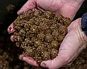 NashBait Scopex squid cultured Stick Mix Moist 200g, фото 7