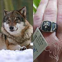 Срібна печатка Вовк - чоловічий срібний перстень із зображенням вовка