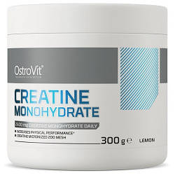 Креатин OstroVit Creatine (300 грам.)