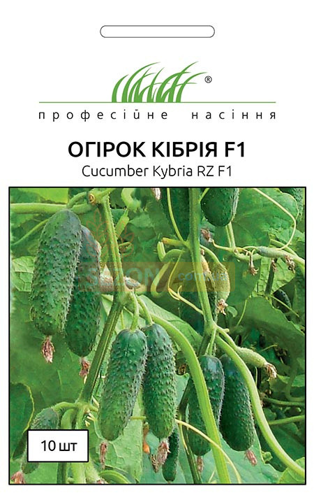 Кибрия F1 насіння огірки, 10 насінин — партенокарпічний, ранній, Rijk Zwaan