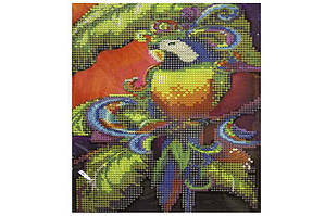 Алмазна мозаїка 21*25см Папуга ООПТ