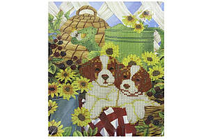 Алмазна мозаїка 21*25см Цуценята ООПТ