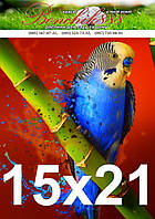 Фото 15*21