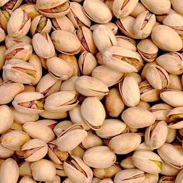 Фісташка Антеп (зкс)