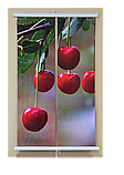 Обігрівач настінний інфрачервоний "Картина подвійна. Вишні", 380 Вт. "Сейм", фото 3