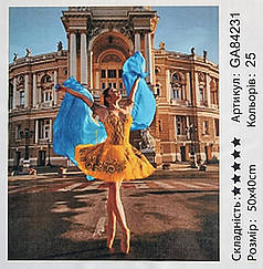 Алмазна мозаїка Балерина та Оперний Театр 40x50 см на підрамнику