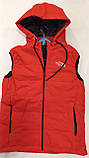 Жилетка тепла 48 чоловіча з капюшоном The North Face, фото 2