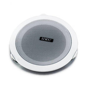 Стельові динаміки (колонки) CS 5500 iC227