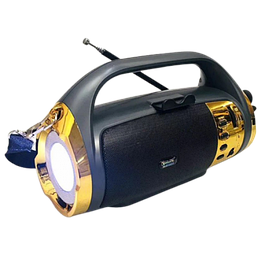 Радіоприймач Golon RX BT2020S 3-смуговий (FM/AM/SW) акумуляторний з підтримкою USB, SD карт пам'яті TF, AUX iC227