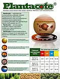 Добриво Плантакот Plantacote Top K 4М (10-9-19+2MgO+ME), мішок 25 кг, фото 2