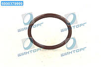 Сальник двигуна REAR BMW/RENAULT M20/G9T/G9U FPMBAVISLRSX7 93X108X7 FPM (вир-во Corteco) 20018713B UA60