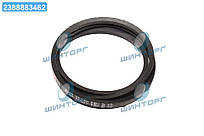 Реминь B 2240 (ВБ-2240) (вир-во Rubena) В 2240 UA60