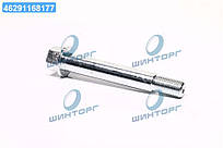 Болт регулювання розвалу колис MITSUBISHI PAJERO IV 07-(Вир-во FEBEST) 0429-011 UA60