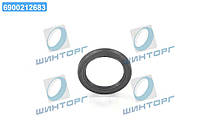 Сальник двигуна N FORD 38X52X6 (вир-во Elring) 023.520 UA60