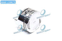 Поршень (0.50) (вир-во GM) 96571774 UA60