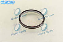 Сальник двигуна REAR FIAT/RENAULT 8144.67/S8U 100X118X10 FPM RWDRВ КОРПУСИ (вир-во Corteco) 12014727B UA60