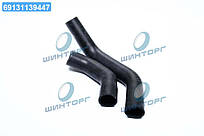 Патрубок радиатора ГАЗ 3302 (Cummins 2.8s4) (компл.2 шт.) (TEMPEST) TP.1377 UA60