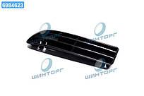 Решитка бамп. лив. VW BORA (вир-во TEMPEST) 051 0592 911 UA60