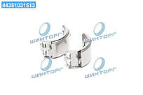 Пидшипник супорту BPW TSB (RIDER) RD 09498 UA60