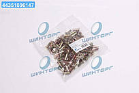 Заклепка 6,35х17,5 L11 накладки барабанного гальма (100 шт.) (TEMPEST) TP 99.17.29 UA60