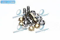 Шворинь УАЗ-Хантер, Патриот, 3160  3160-2304019 UA60
