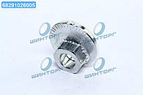 Гайка з ексцентриком TOYOTA, LEXUS 98-09 (Вир-во FEBEST) 0131-004 UA60