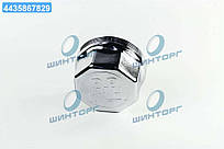 Кришка маточини M125*3 SW110 700Nm BPW (RIDER) RD 41.24.59 UA60