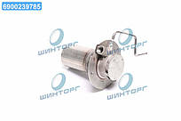Пальник автономного обигривача 2KW (TEMPEST) TP 99.12.78 UA60