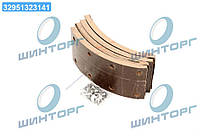 Накладка гальмивна ПАЗ-3205 STD 13/10мм (свердл. из закл.) Премиум (RIDER) RD-16.3502110-STD UA60