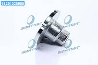 Гайка з ексцентриком TOYOTA 4RUNNER, LAND CRUISER 95- (Вир-во FEBEST) 0131-002 UA60