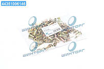 Заклепка 6,35х15,9 L10 накладки барабанного гальма (100 шт.) (TEMPEST) TP 99.17.28 UA60