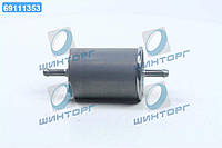 Фильтр топл. BMW, OPEL, SKODA WF8033/PP831 (пр-во WIX-Filtron) WF8033 UA60