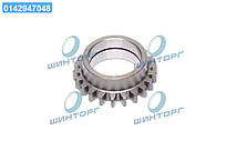 Шестерня промижна КОМ  5511-4202032-10 UA60