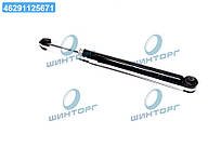 Амортизатор пидв. FORD FIESTA V, MAZDA 2 03-08 задн. газ. (RIDER) RD.2870553308 UA60