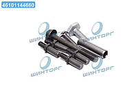 Комплект болтив для ланцюга ГРМ VAG 1,4 TSI (вир-во FEBI) 103705 UA60