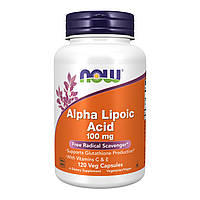 Alpha Lipoic Acid 100mg - 120 vcaps