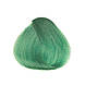 Напівперманентний прямий барвник GREEN Зелений 38 Kaaral Baco ColorSplash 100 мл, фото 2
