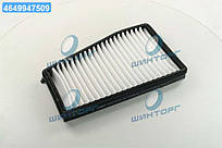 Фильтр салону CHEVROLET EVANDA 02- (RIDER) RD.61J6WP2042 UA60