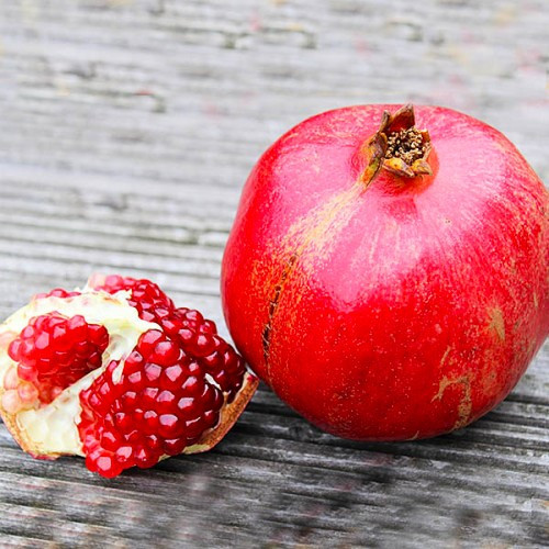 Саджанці граната Нікітський ранній 3-річний— раннього терміну дозрівання, невибагливий, зимовостійкий, фото 1