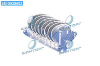 Вкладыши шатунные VAG 1.9TDI/2,0TDI SPUTTER (пр-во KS) 77555620 UA60