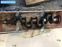 Вал колинчастий СМД 18,22  20-04с9 UA60