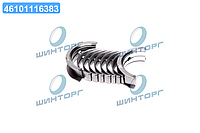 Вкладишi корiннi OPEL 0,25 mm 1,7TD/2,2i 16V X17DTL/X22XE/Y22XE/Z22XE (вир-во SM) 403516-25-4 UA60