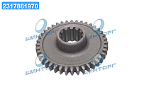 Шестерня 4-пер. МТЗ, Z=40 (пр-во г.Ровно) 50-1701216 UA60